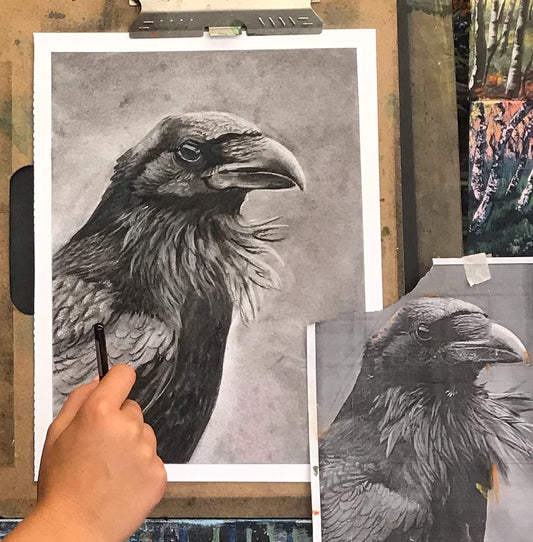 To Draw or to Paint, that is the question?