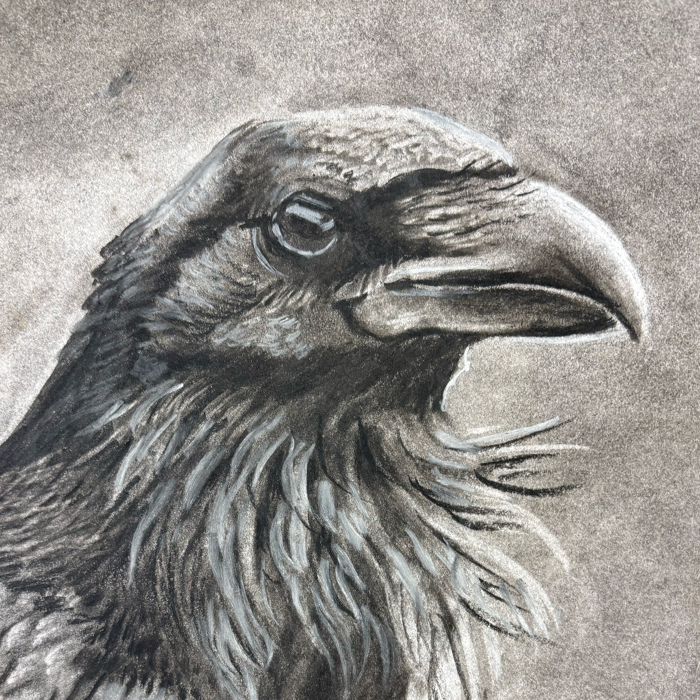 BEGINNERS DRAWING COURSE 2 - levels 5-8