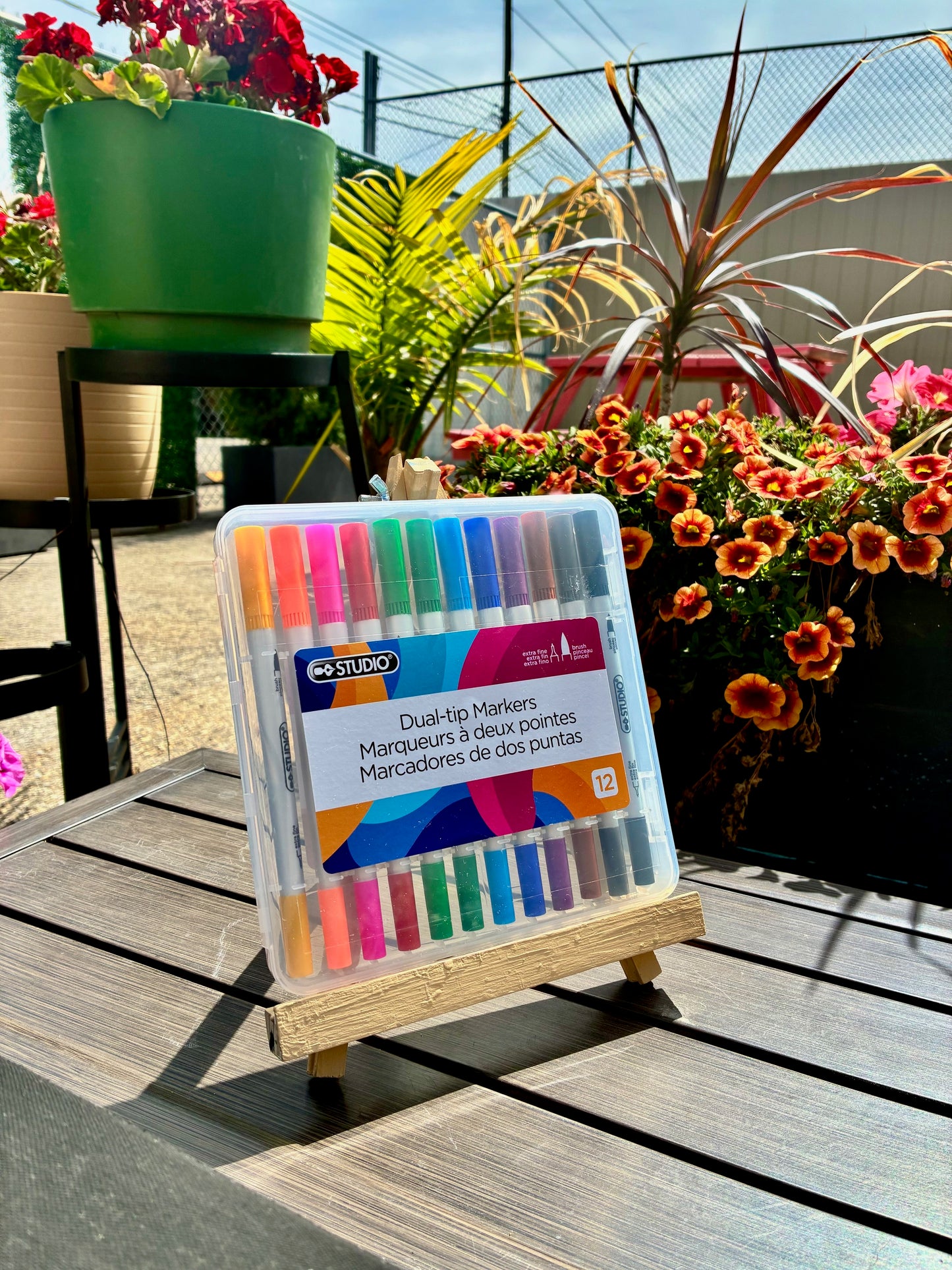Dual tip markers set of 12