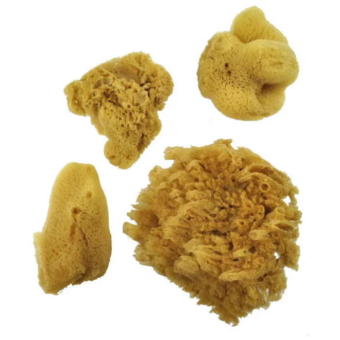 Royal Langnickel Artist Sea Silk Sponge