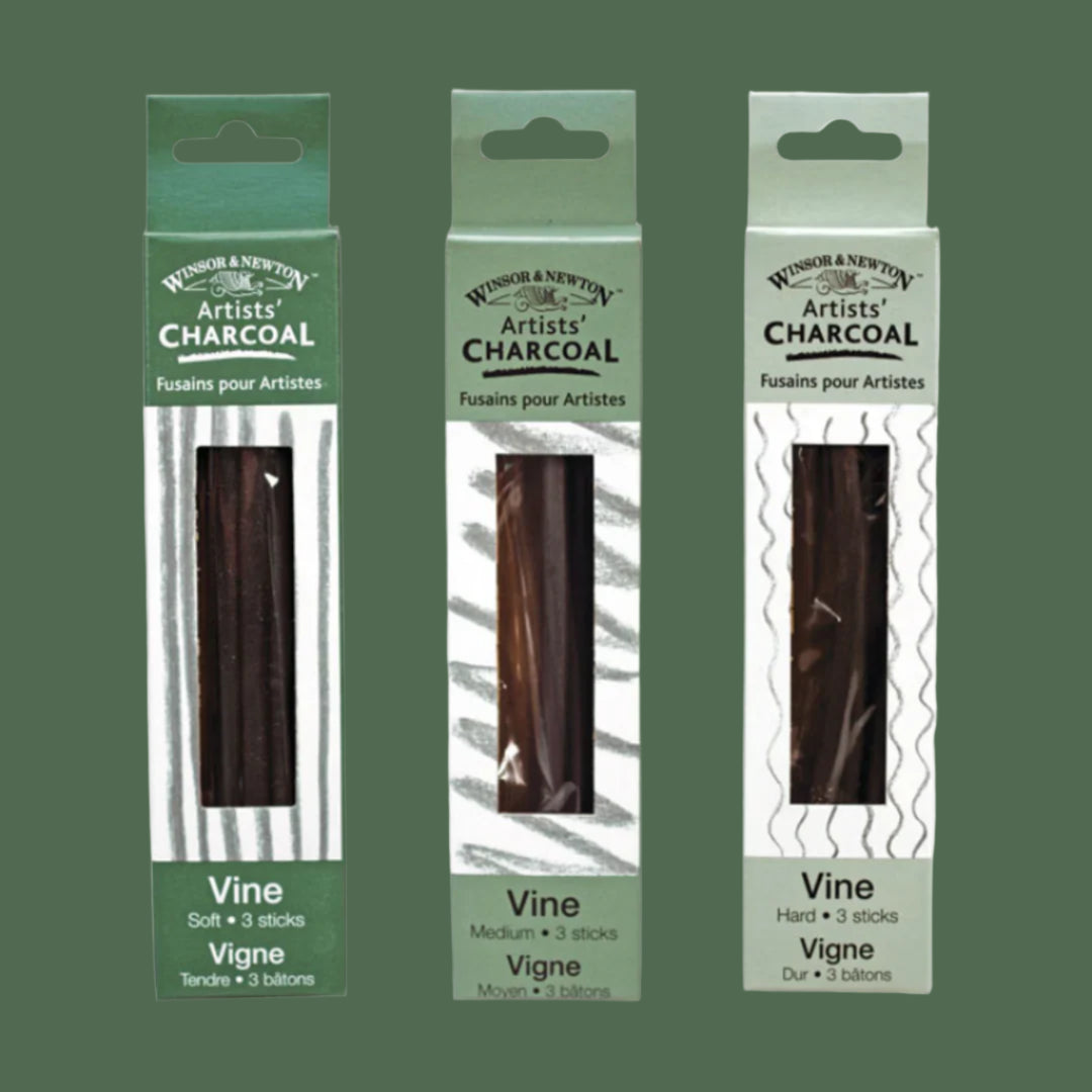 Vine Charcoal Medium (12 sticks)