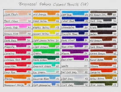 Bruynzeel Colour Pencils