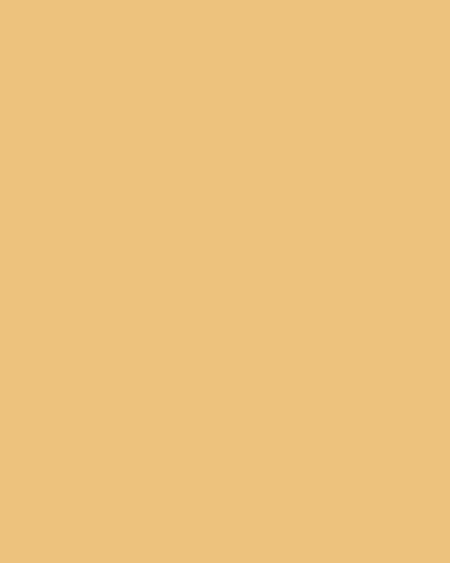 The Paint Factory - Chanterelle