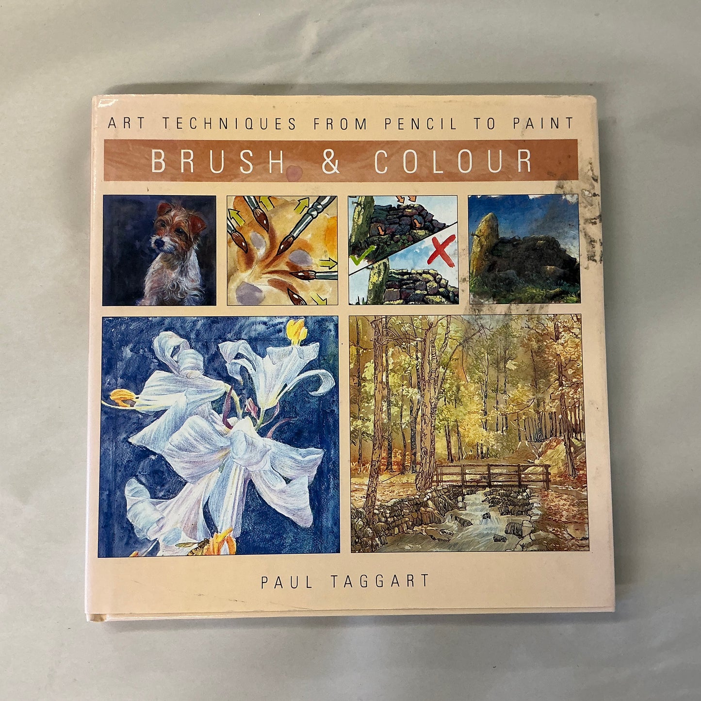 Art Books