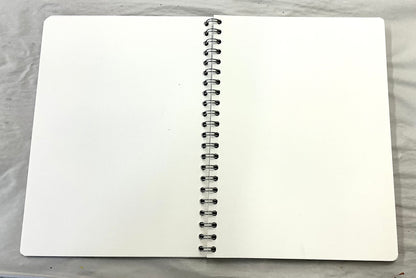 DaVinci Studio Sketchbook