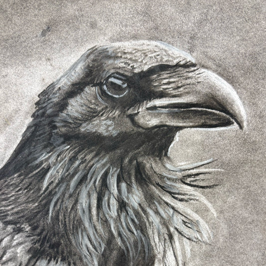BEGINNERS DRAWING COURSE 2 - levels 5-8