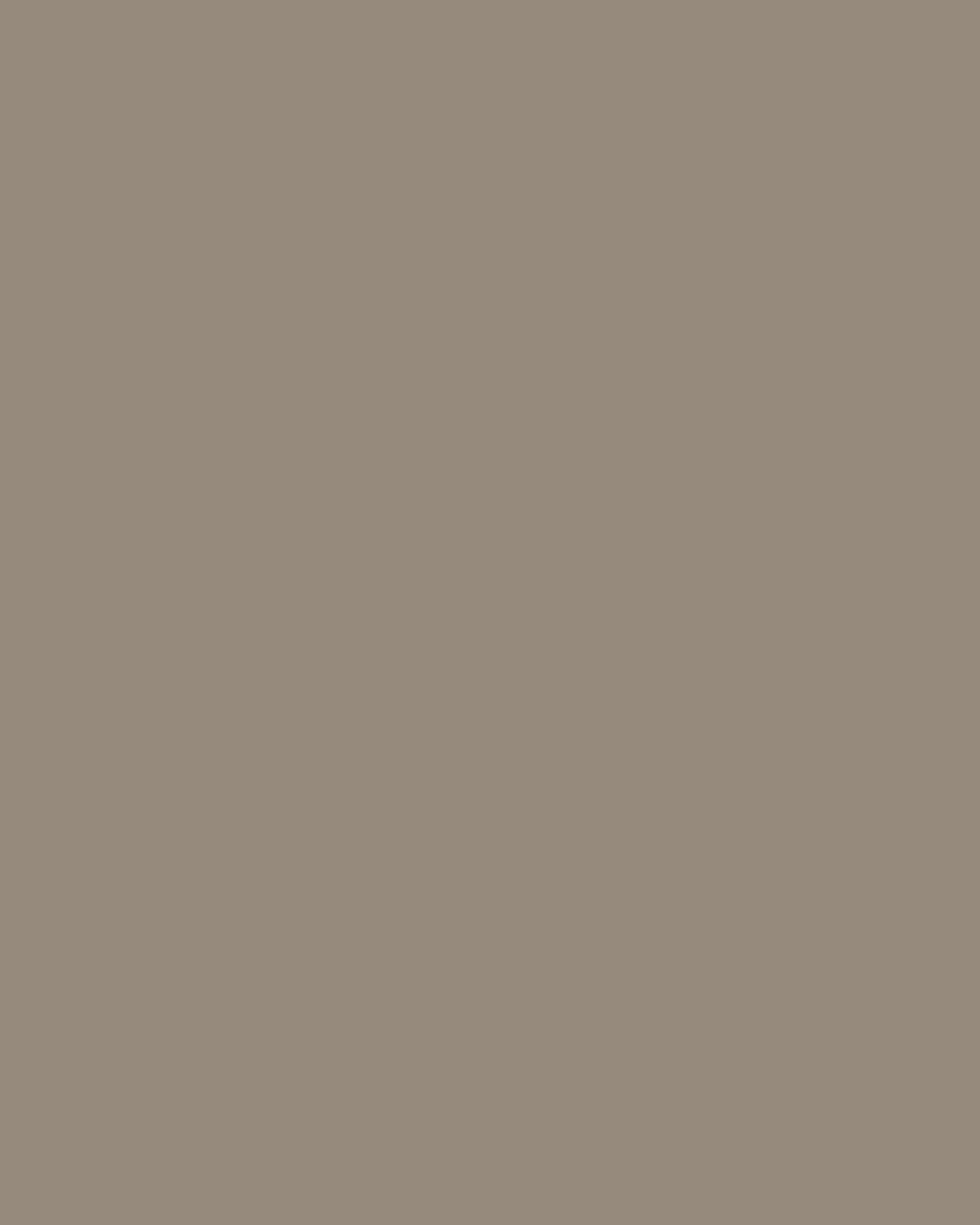 The Paint Factory - Taupe