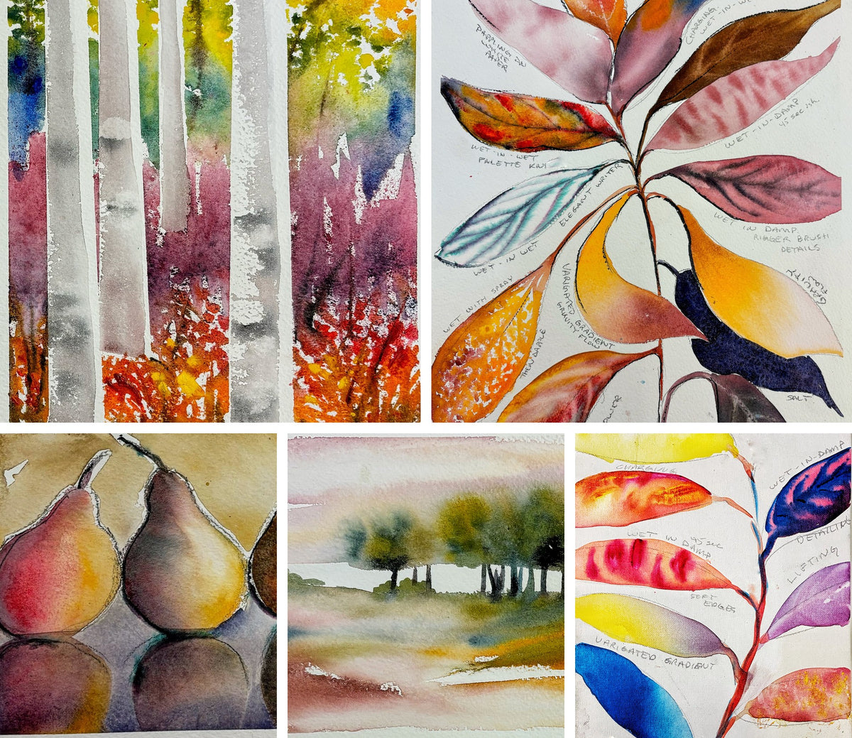 Five watercolours from the beginners watercolour Levels 1-4 workshops — aspen trunks, leaf technique studies, pears, misty trees — Grasby Art Studio Calgary