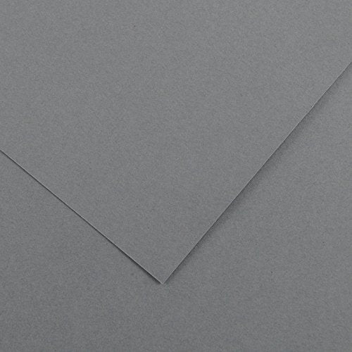 Canson Colorline Loose Sheet (Dark Grey) (19.5"x25.5")