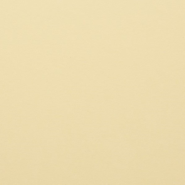 Clairefontaine - Maya Cardstock 120lb Paper - 8¼x11¾"