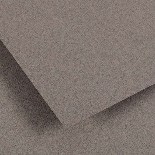 Canson Ingres Loose Sheet (Steel Grey) (19"x25")