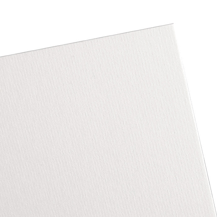 Canson Ingres Loose Sheet (White) (19"x25")