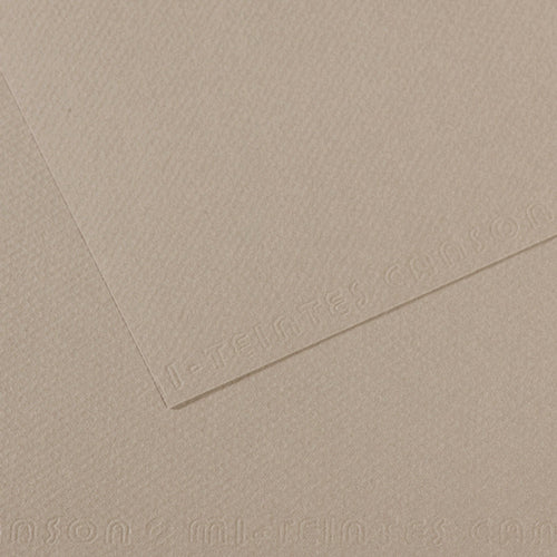 Canson Mi-Teintes Loose Sheet (Flannel Gray) (19.5"x25.5")
