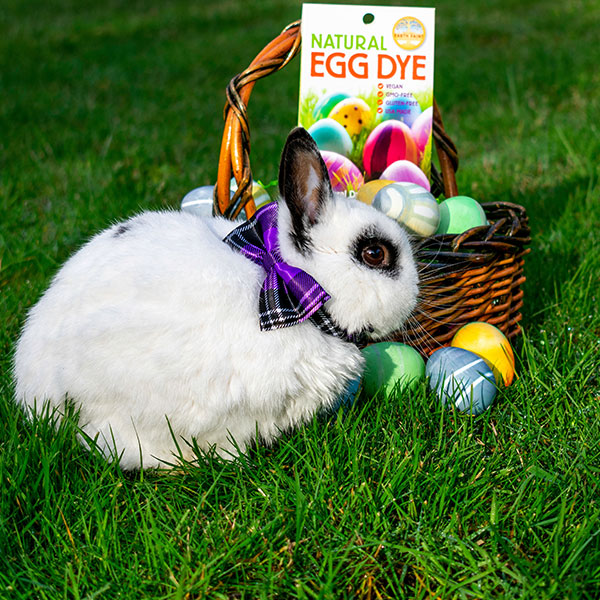 Natural Egg Dye Kit