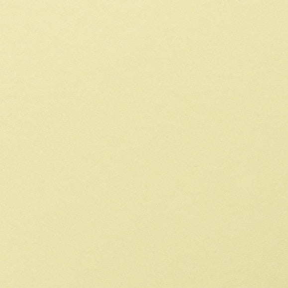 Clairefontaine - Maya Cardstock 120lb Paper - 8¼x11¾"